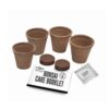 Bonsai Starter Kit - Maple - Image 3
