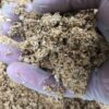 Spent Oyster Mushroom Substrate, 18L bags - Image 3