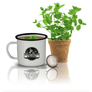 Grow & Brew Tea Kit - Peppermint