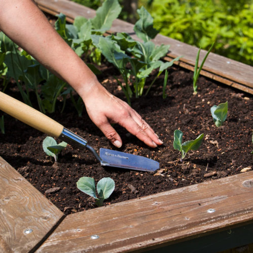 Kent & Stowe Border Hand Trowel - Image 3